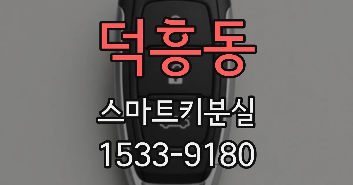 덕흥동 스마트키분실