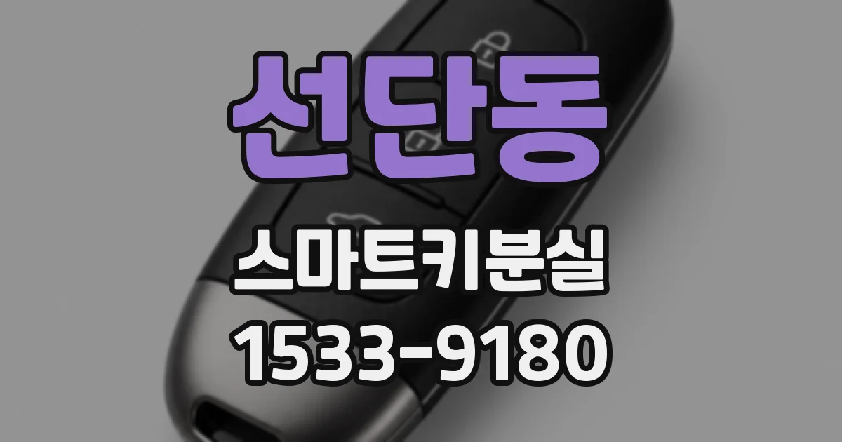 선단동 스마트키분실