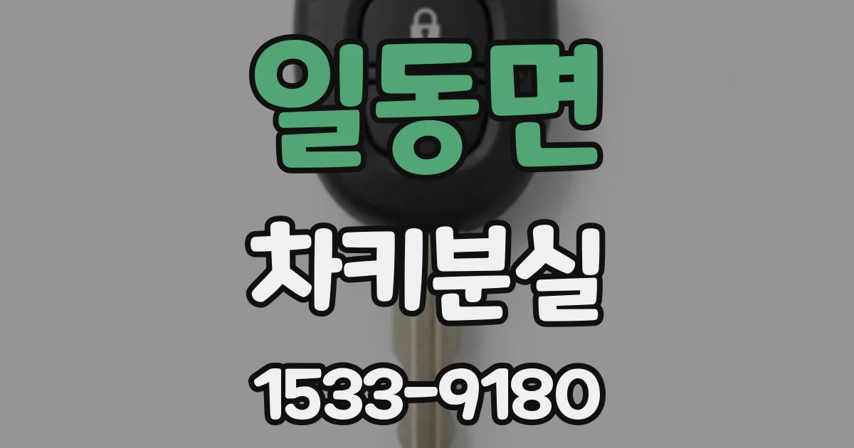 일동면 차키분실