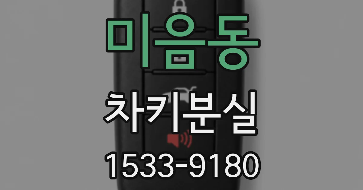 미음동 차키분실