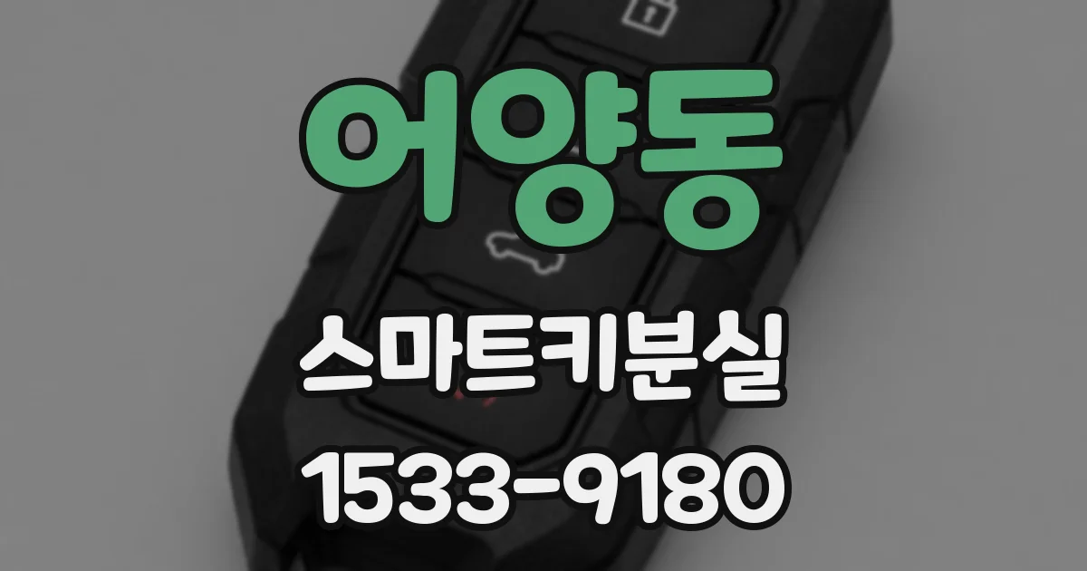 어양동 스마트키분실