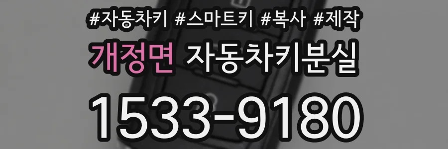 개정면 자동차키분실