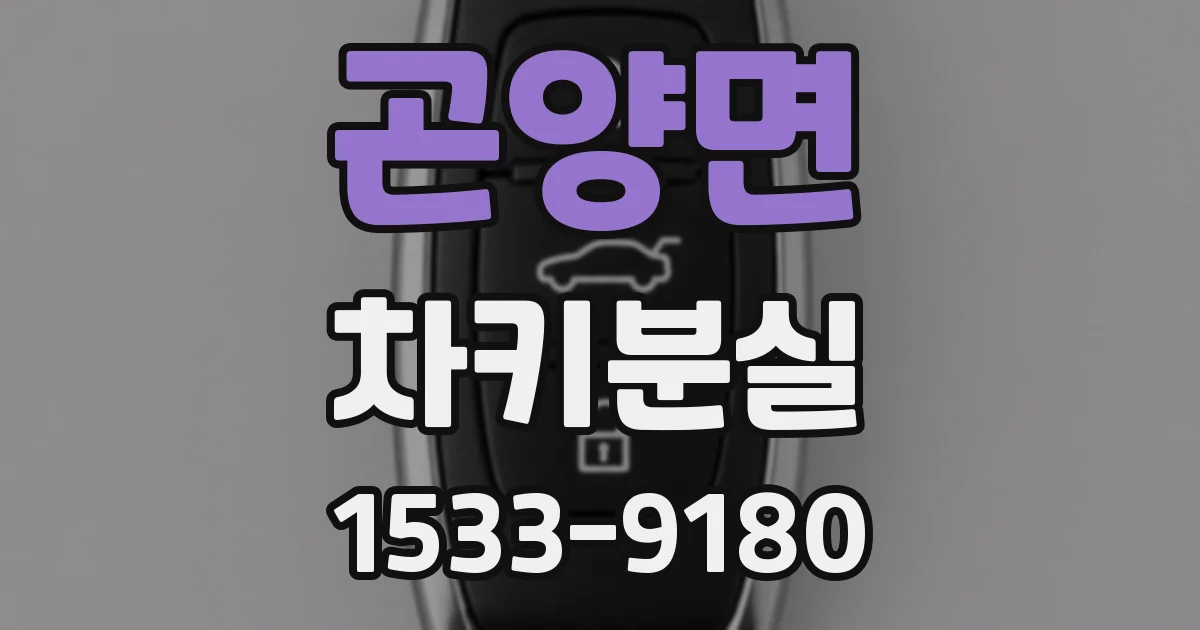 곤양면 차키분실