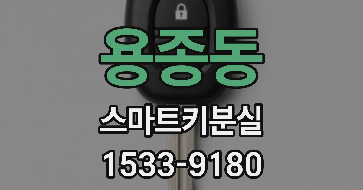 용종동 스마트키분실