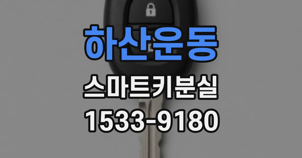 하산운동 스마트키분실