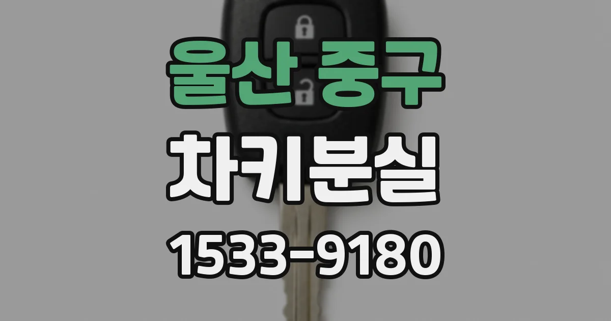 울산 중구 차키분실