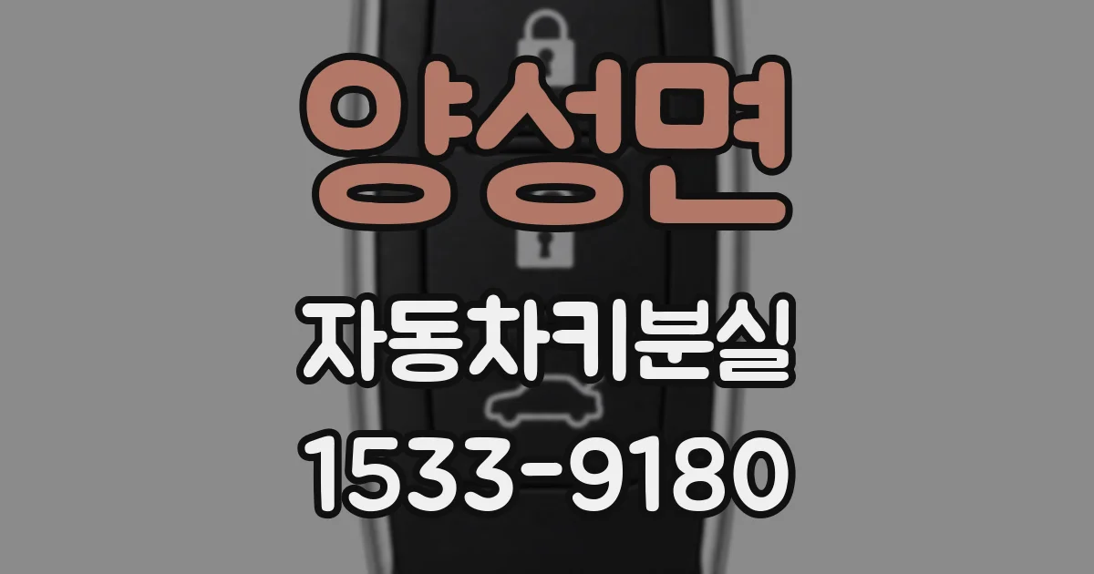양성면 자동차키분실