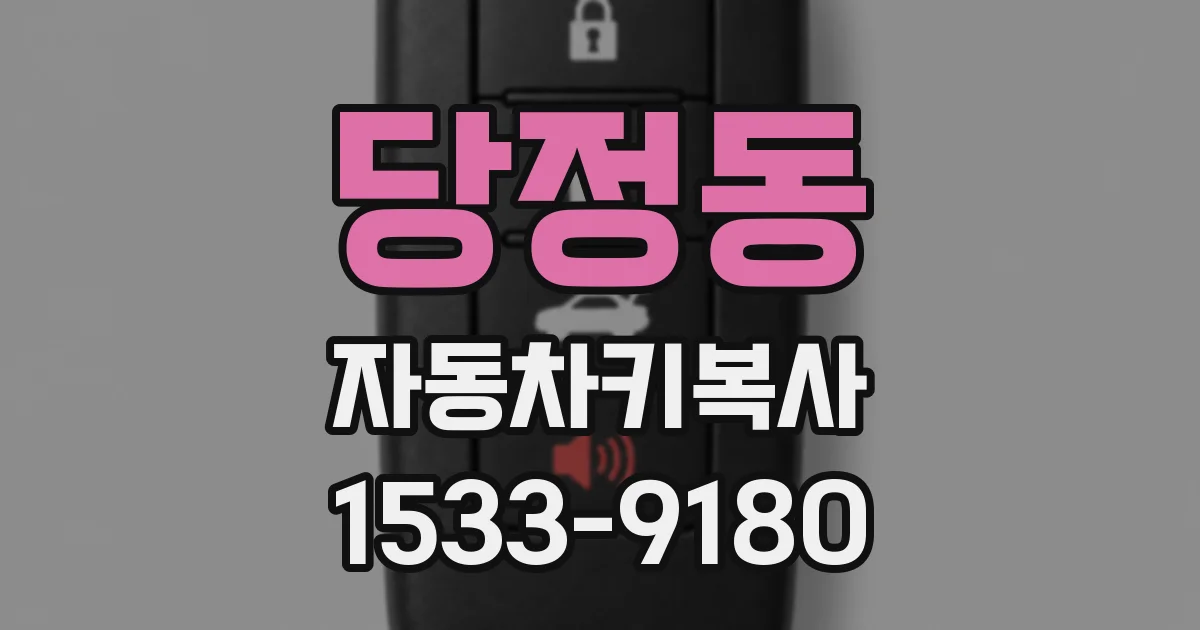당정동 자동차키복사
