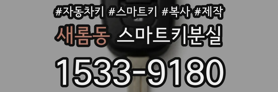 새롬동 스마트키분실