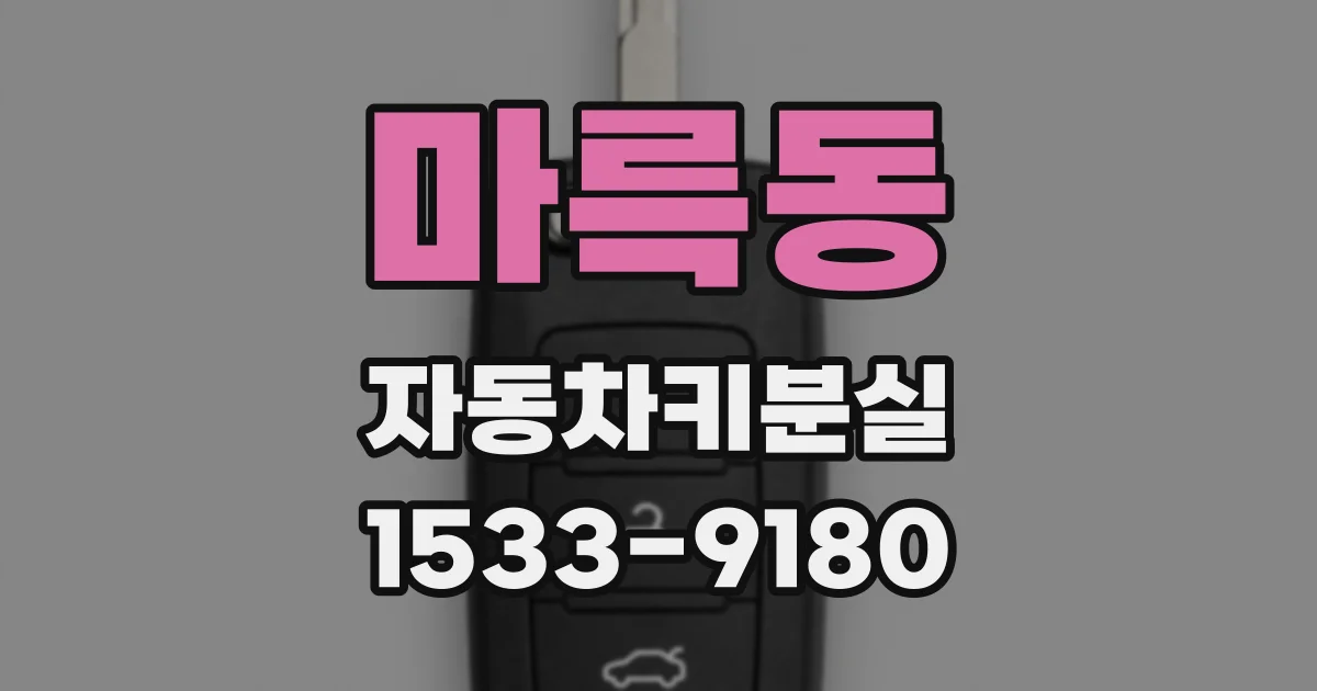 마륵동 자동차키분실