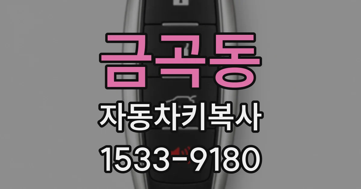 금곡동 자동차키복사