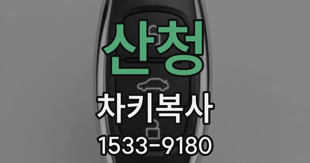 산청 차키복사