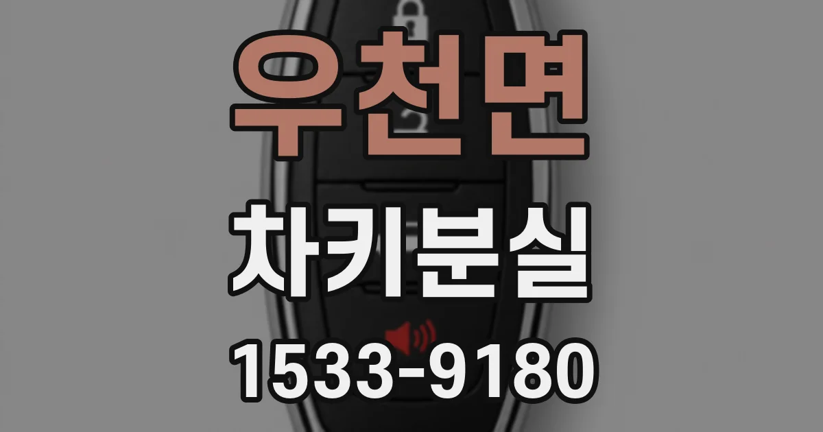 우천면 차키분실