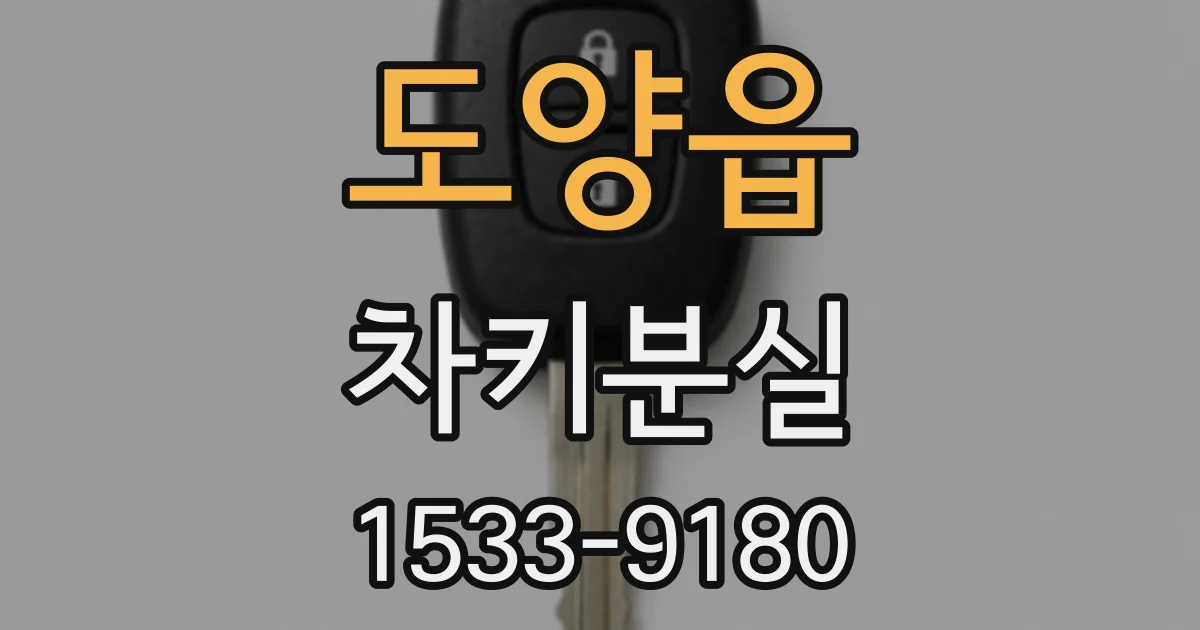 도양읍 차키분실