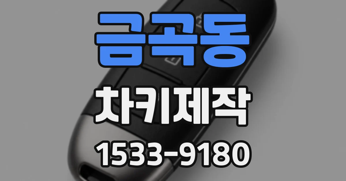 금곡동 차키제작
