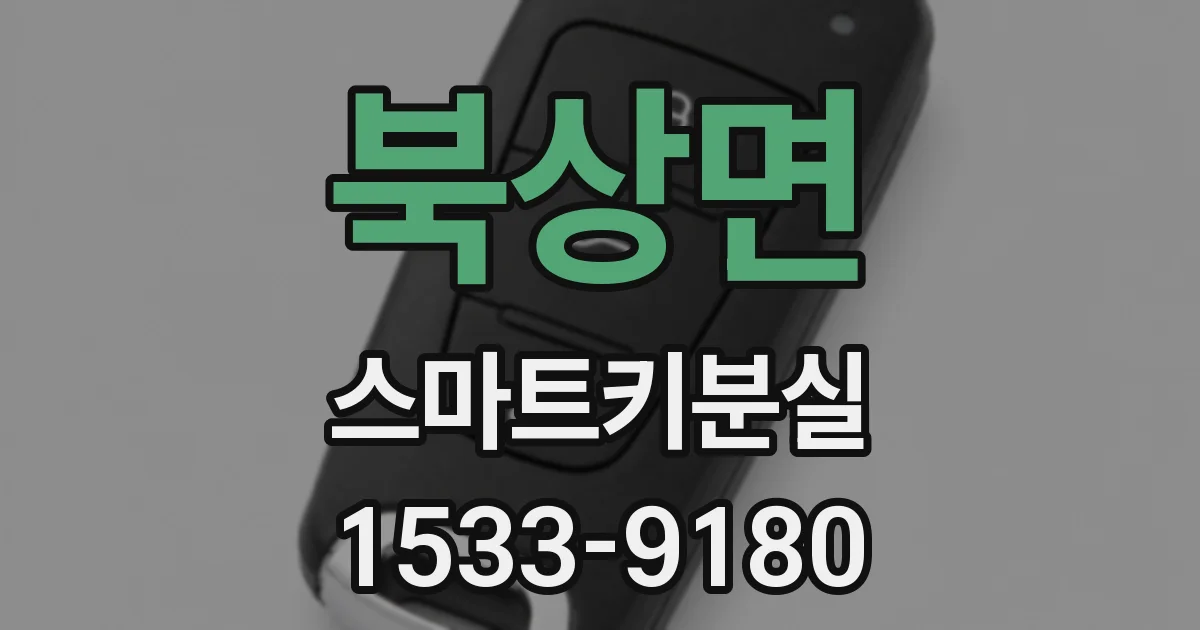 북상면 스마트키분실