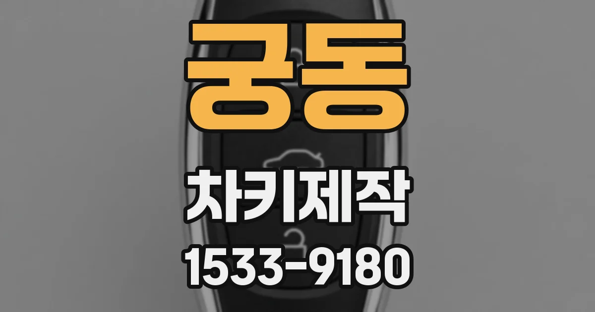 궁동 차키제작