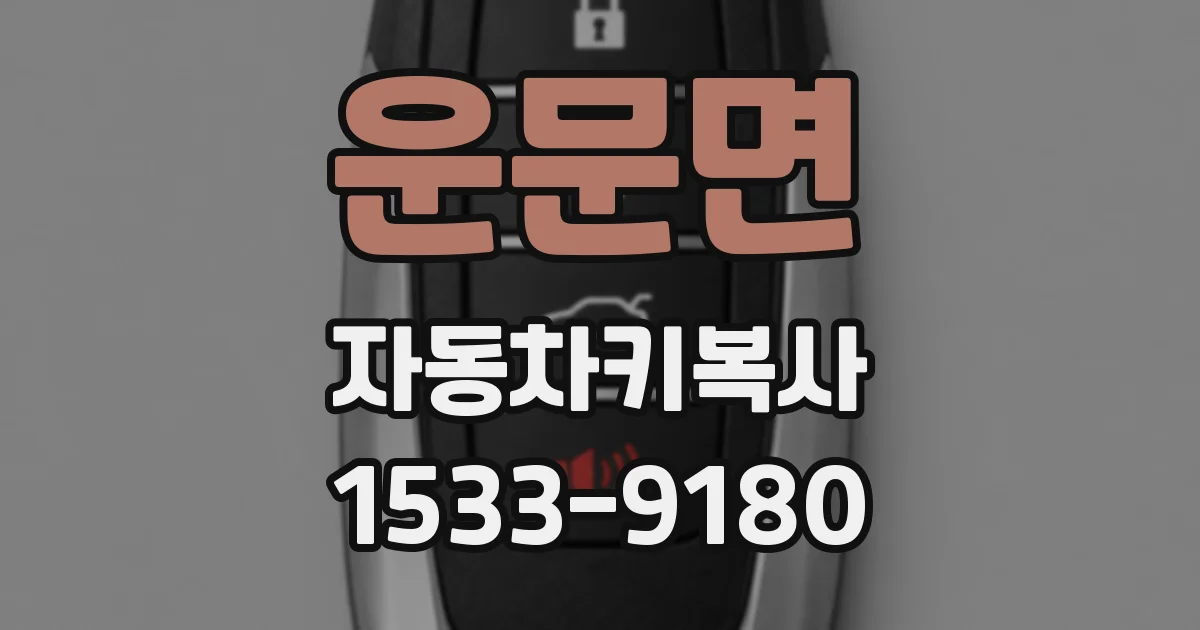 운문면 자동차키복사