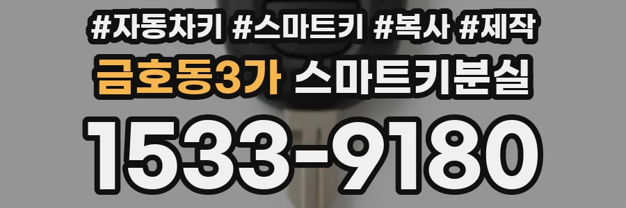 금호동3가 스마트키분실
