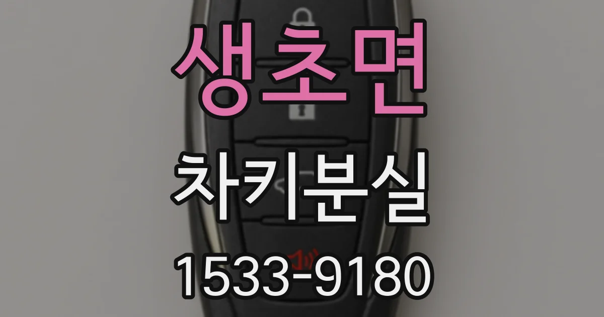 생초면 차키분실