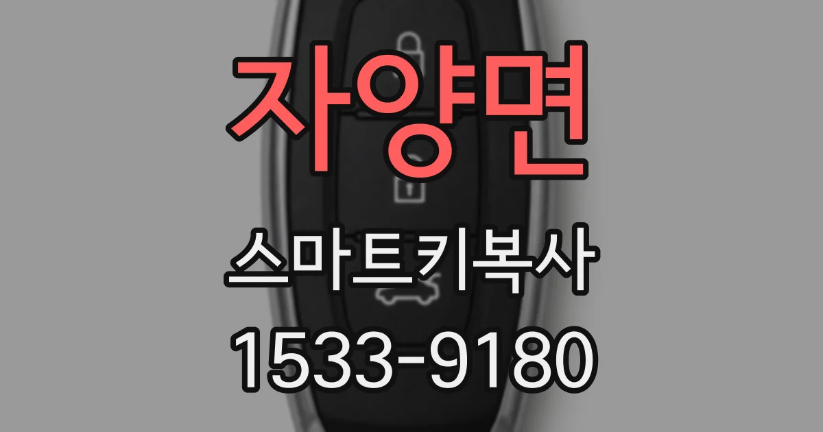자양면 스마트키복사