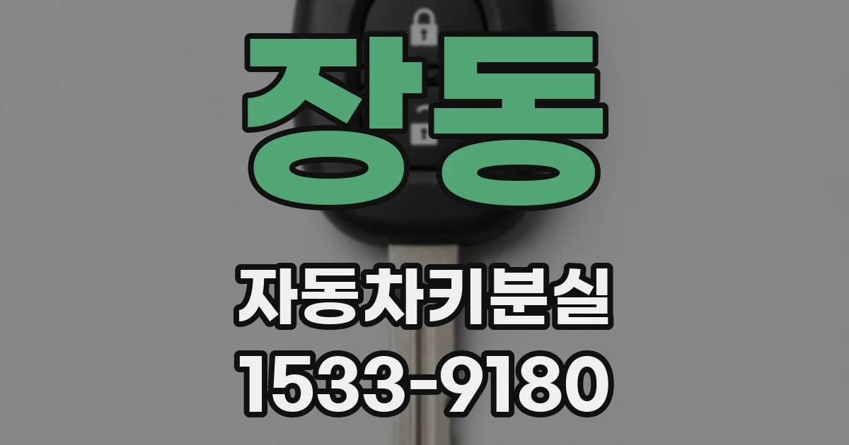 장동 자동차키분실