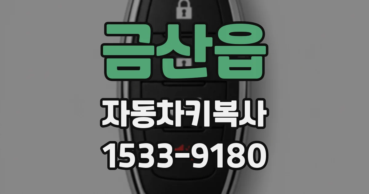 금산읍 자동차키복사
