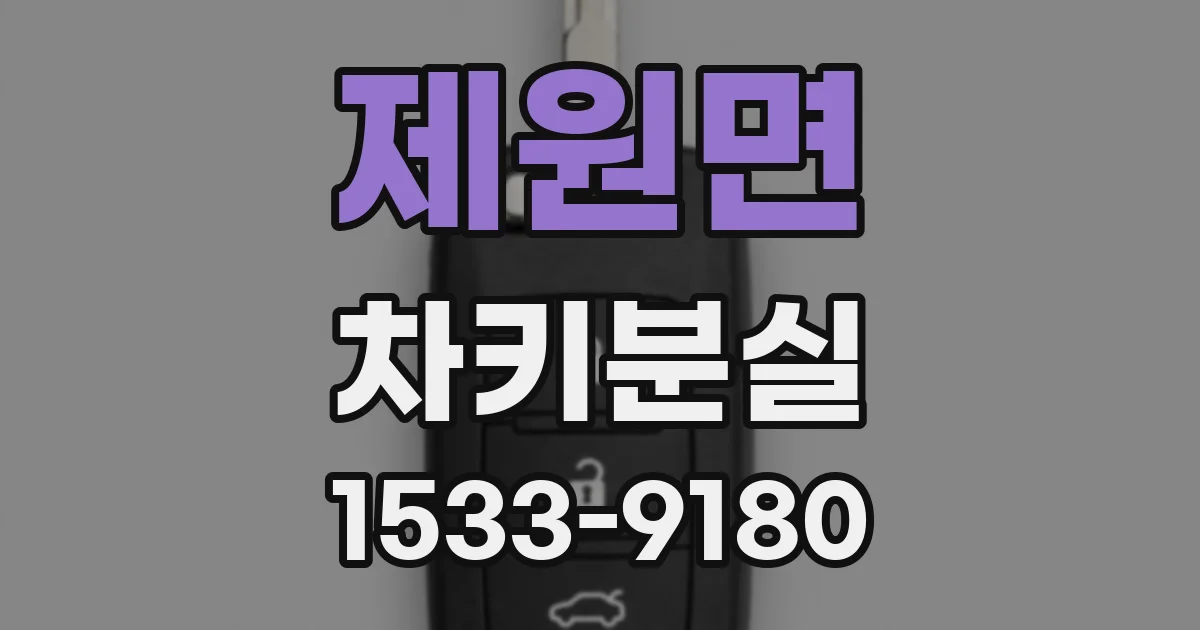 제원면 차키분실