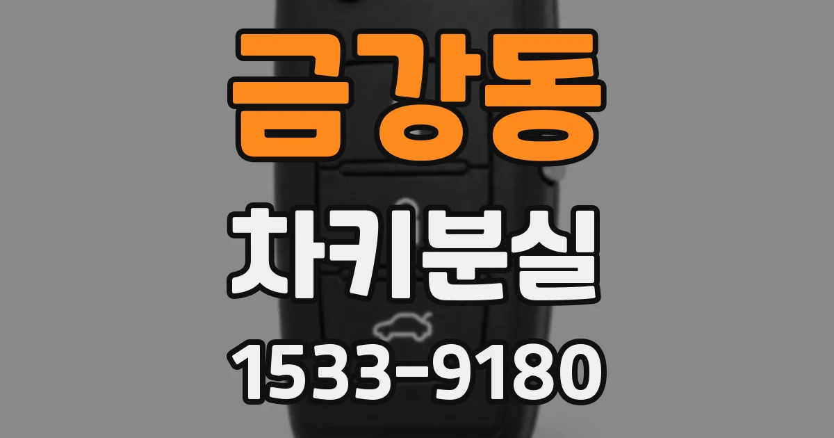 금강동 차키분실
