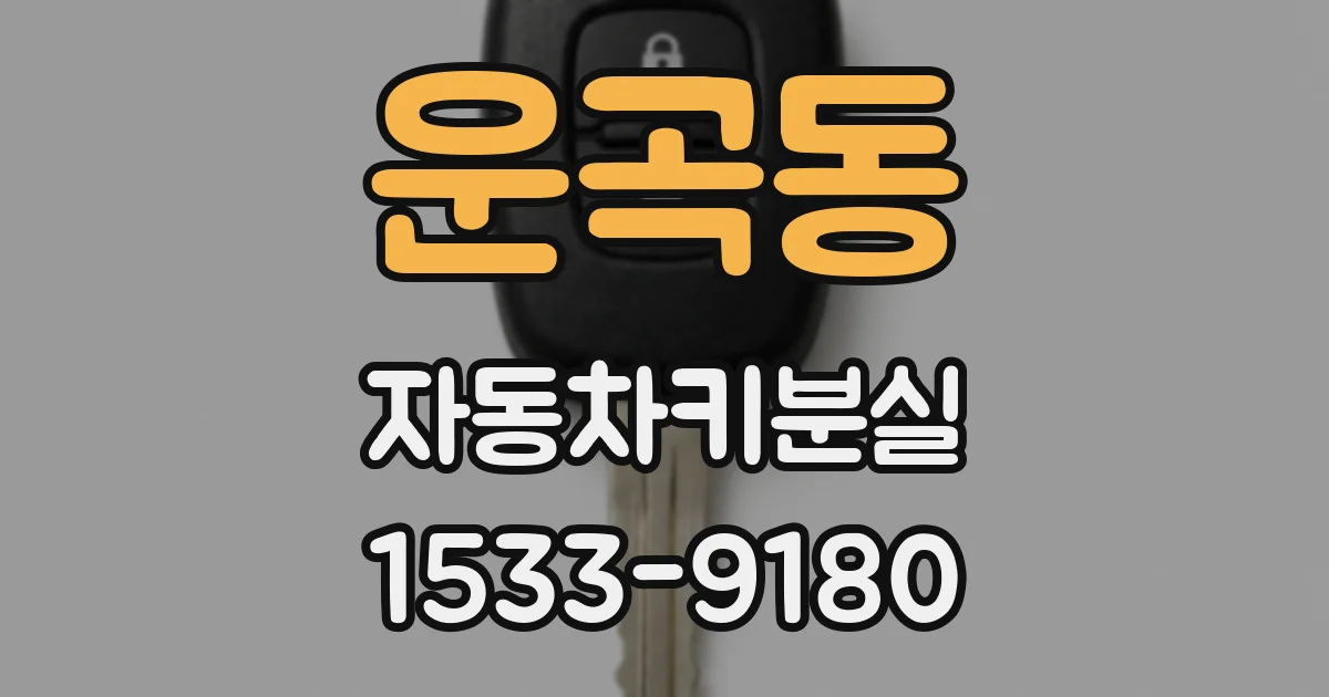 운곡동 자동차키분실