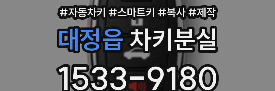 대정읍 차키분실
