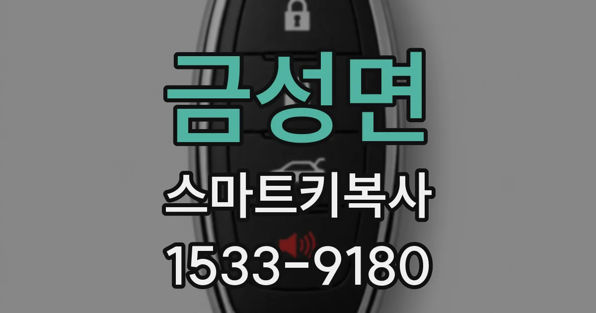 금성면 스마트키복사