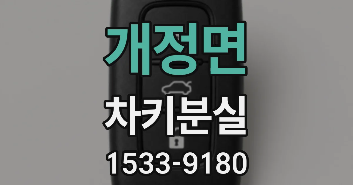 개정면 차키분실