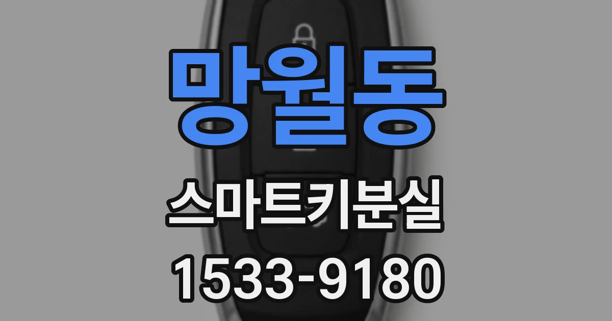 망월동 스마트키분실