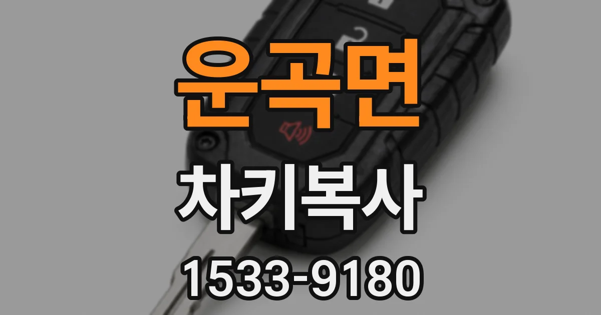 운곡면 차키복사