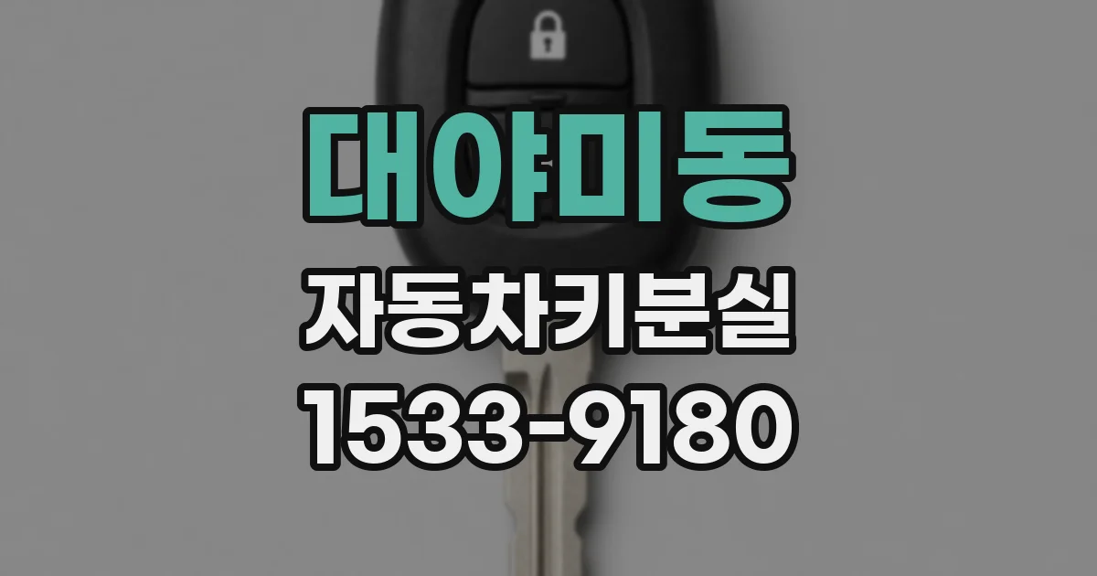 대야미동 자동차키분실
