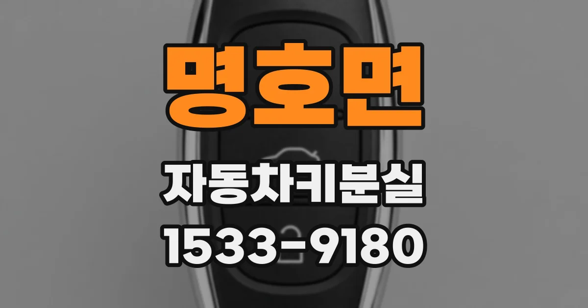 명호면 자동차키분실