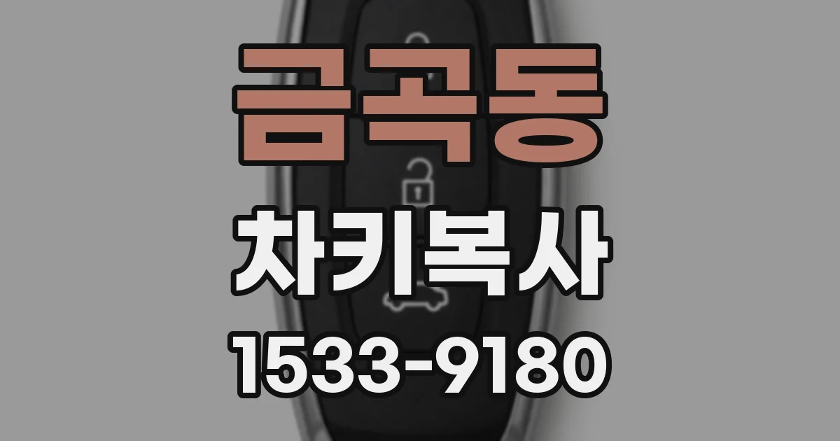 금곡동 차키복사