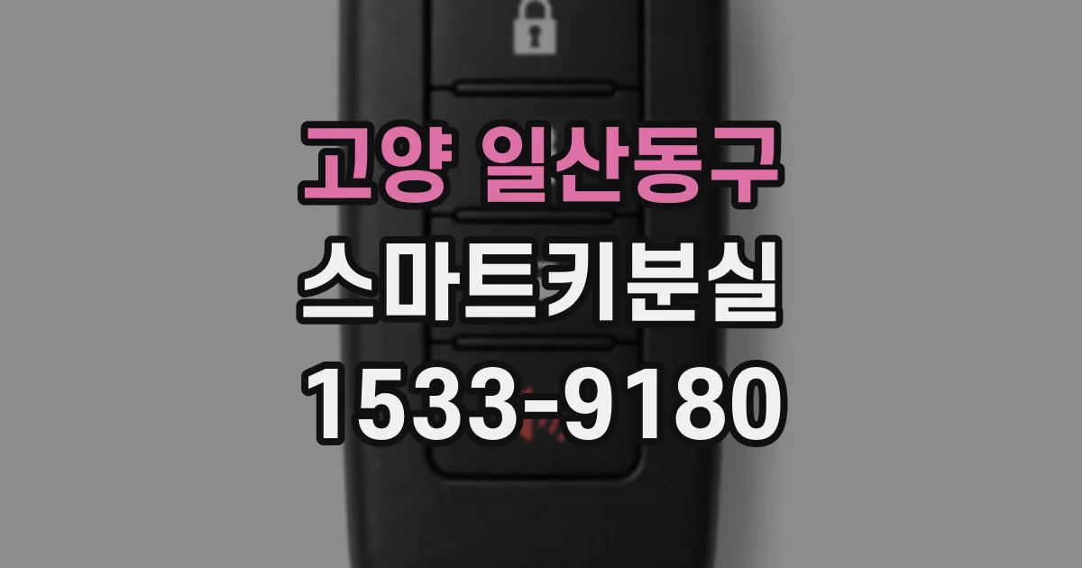 고양 일산동구 스마트키분실
