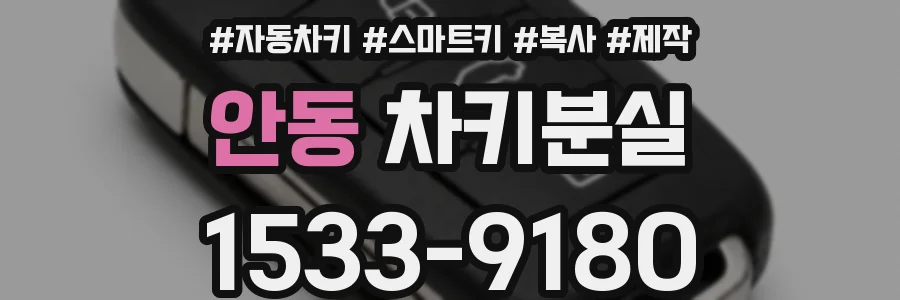 안동 차키분실