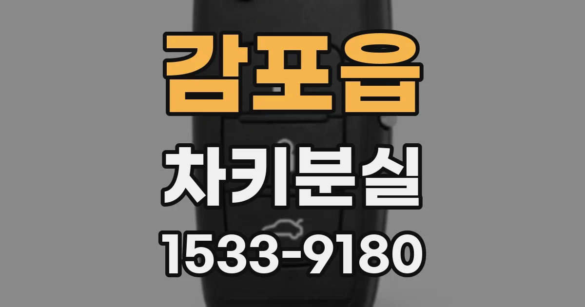 감포읍 차키분실