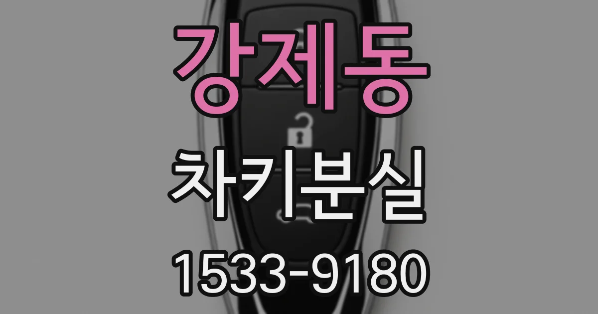 강제동 차키분실