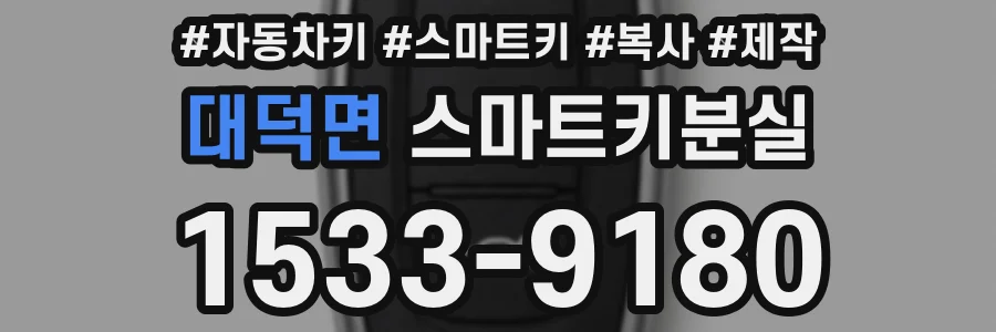 대덕면 스마트키분실