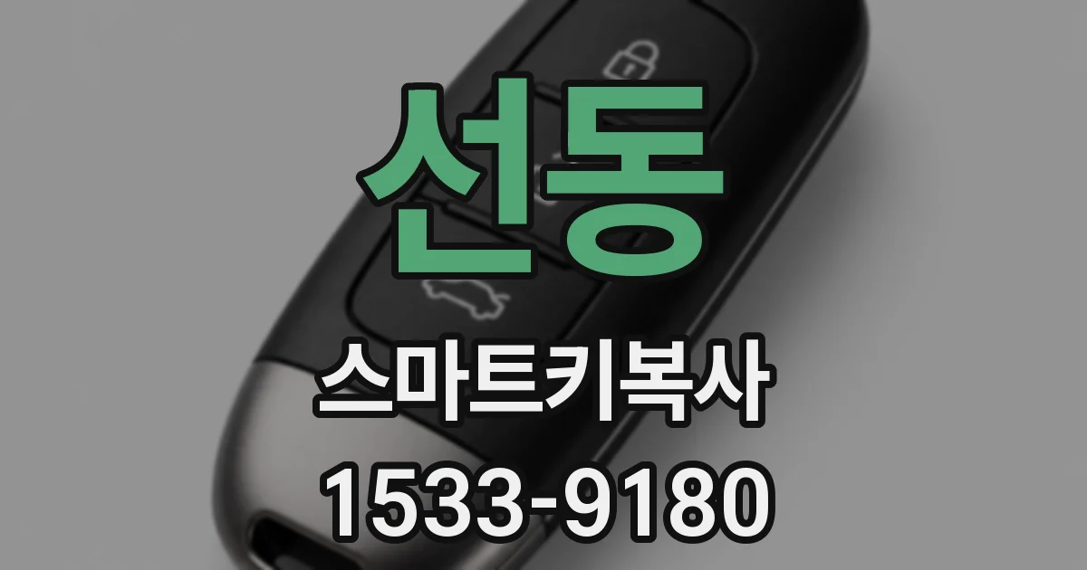 선동 스마트키복사