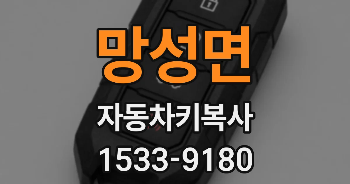망성면 자동차키복사