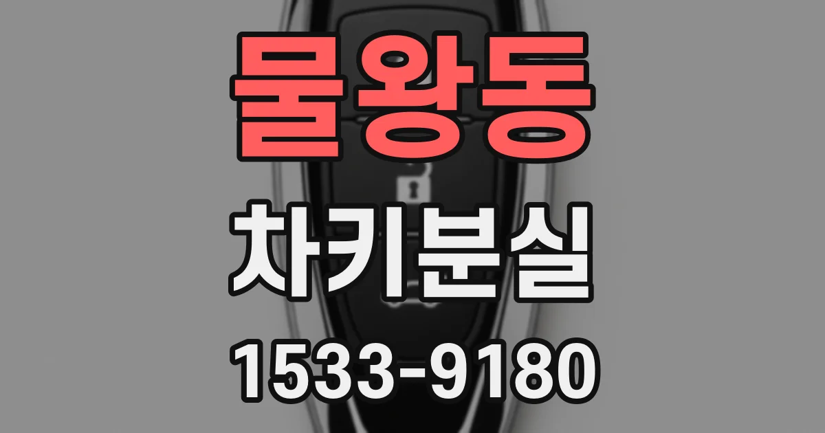 물왕동 차키분실
