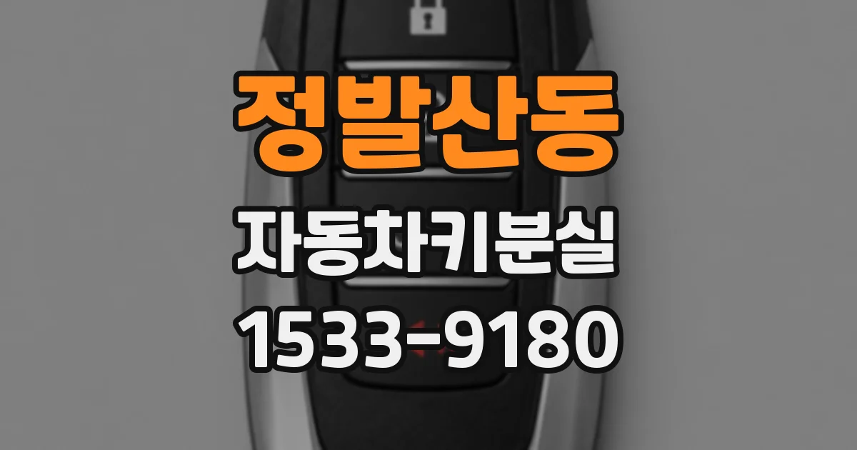 정발산동 자동차키분실