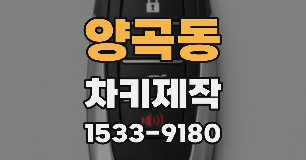 양곡동 차키제작
