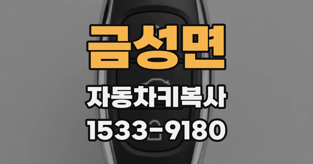 금성면 자동차키복사