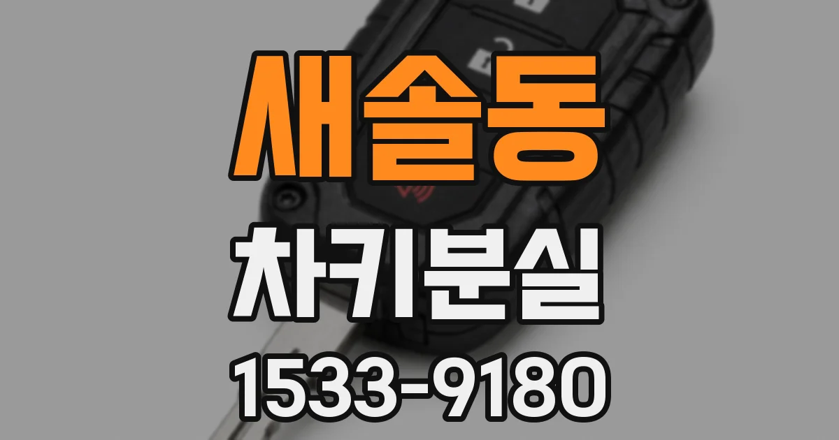 새솔동 차키분실